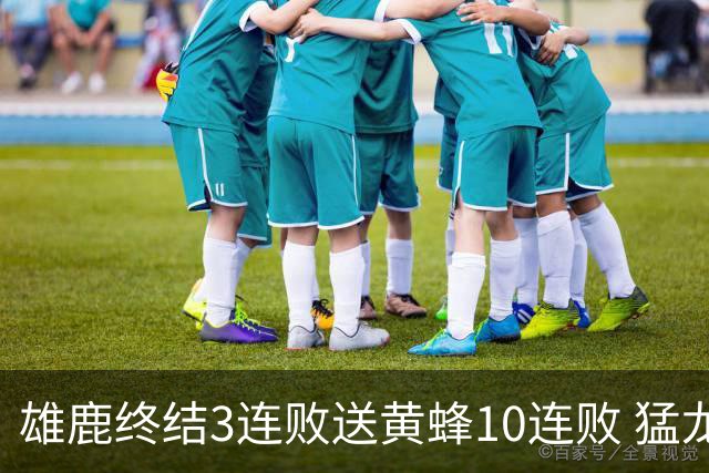 雄鹿终结3连败送黄蜂10连败 猛龙送火箭3连败